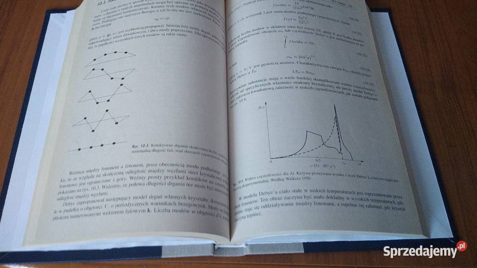 Podstawy fizyki statystycznej Kerson Huang Rok wydania 2006 Książki i Podręczniki pomorskie Gdańsk