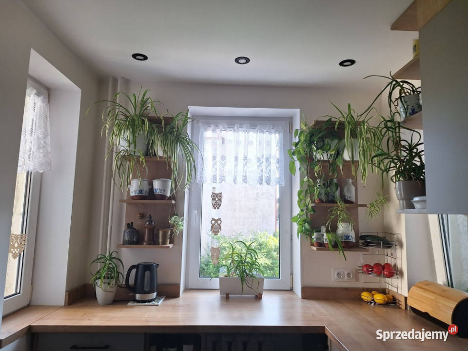 Mieszkanie we Władysławowie w super lokalizacji pomorskie Władysławowo