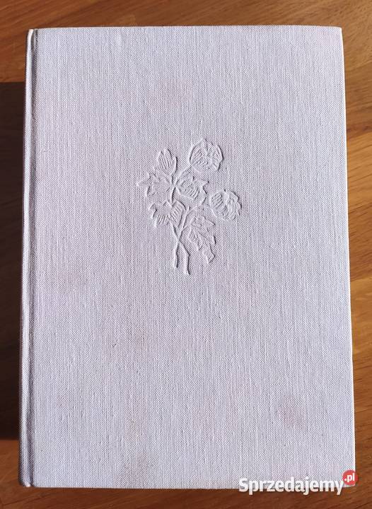 DZIEJE LITERATURY POLSKIEJ Julian Krzyżanowski Hajnówka