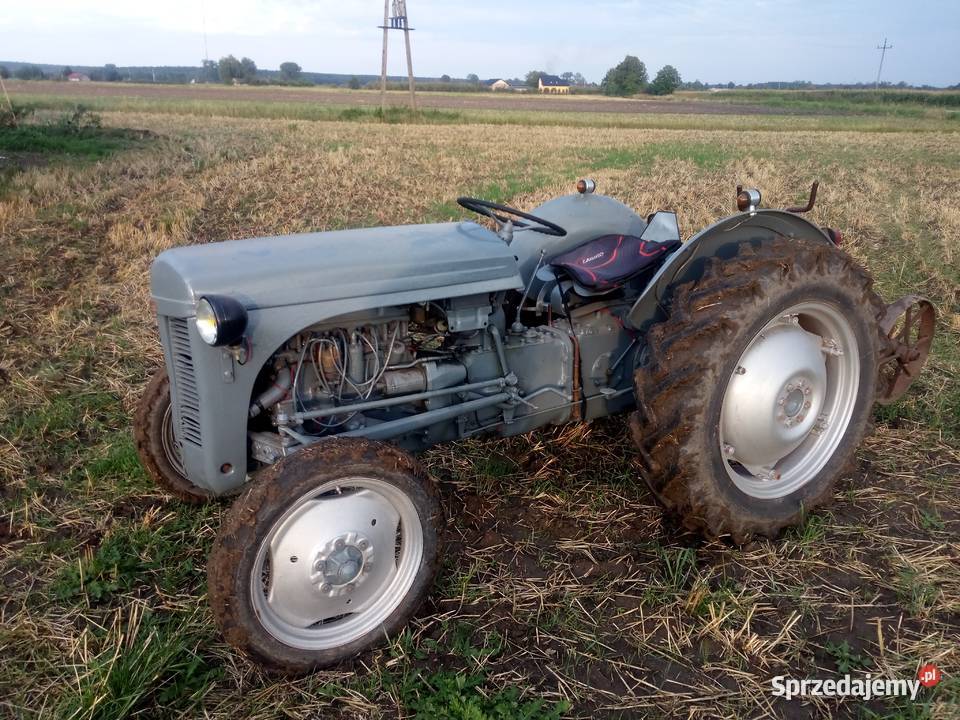 Ferguson tea 20 1951 zarejestrowany Poddębice