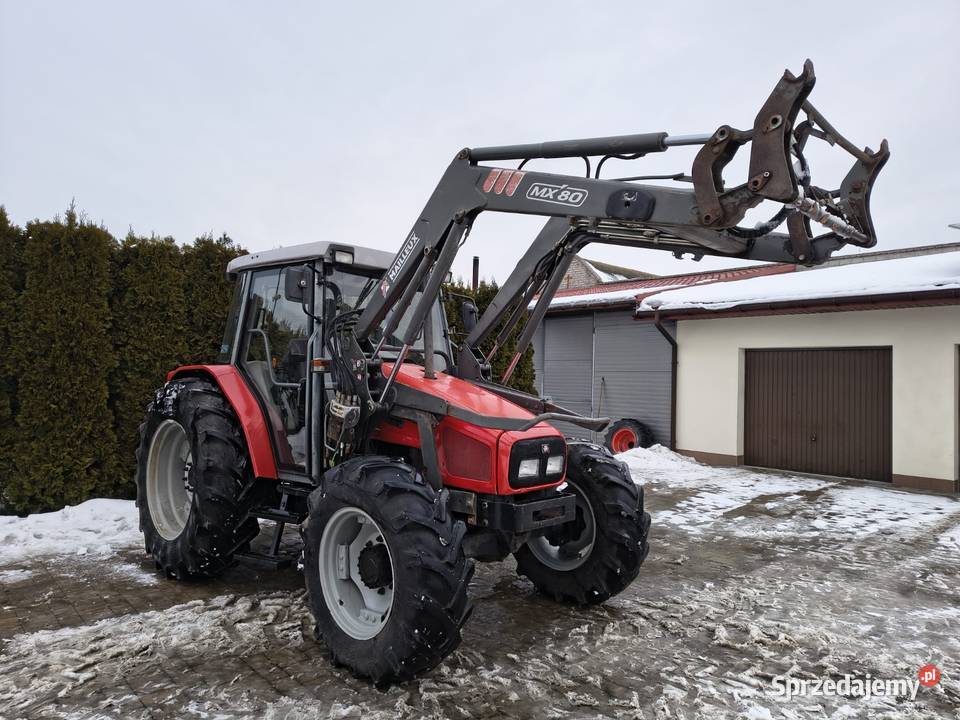 Massey Ferguson 4235 z ładowaczem Grabów Szlachecki