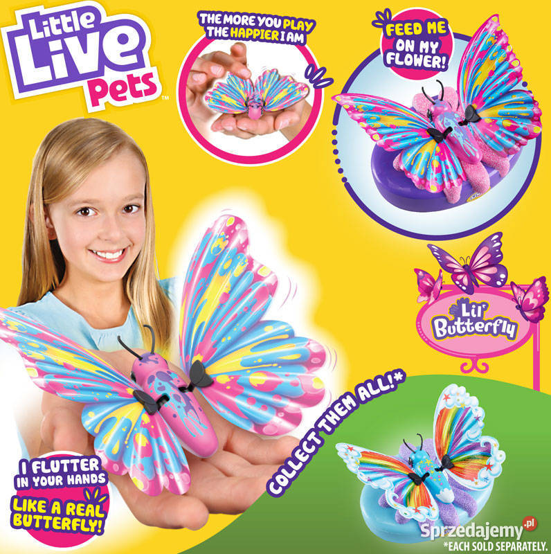 Little Live Pets Kolorowy Motyl Motylek Żywy małopolskie Mogilany