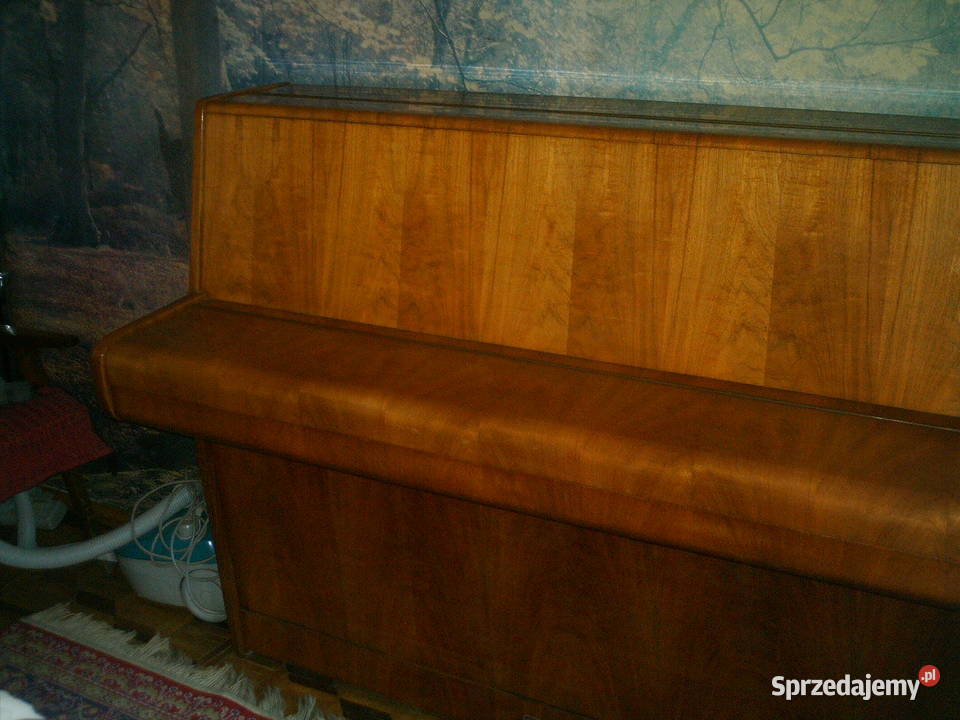 Pianino Calisia M105 Chodzież