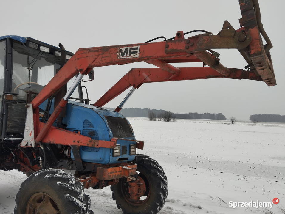 Ciągnik MTZ z Turem Brzostówiec