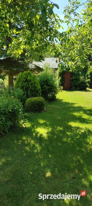 Działka WrzącaLutomiersk WŁASNOŚĆ ROD Lutomiersk sprzedam