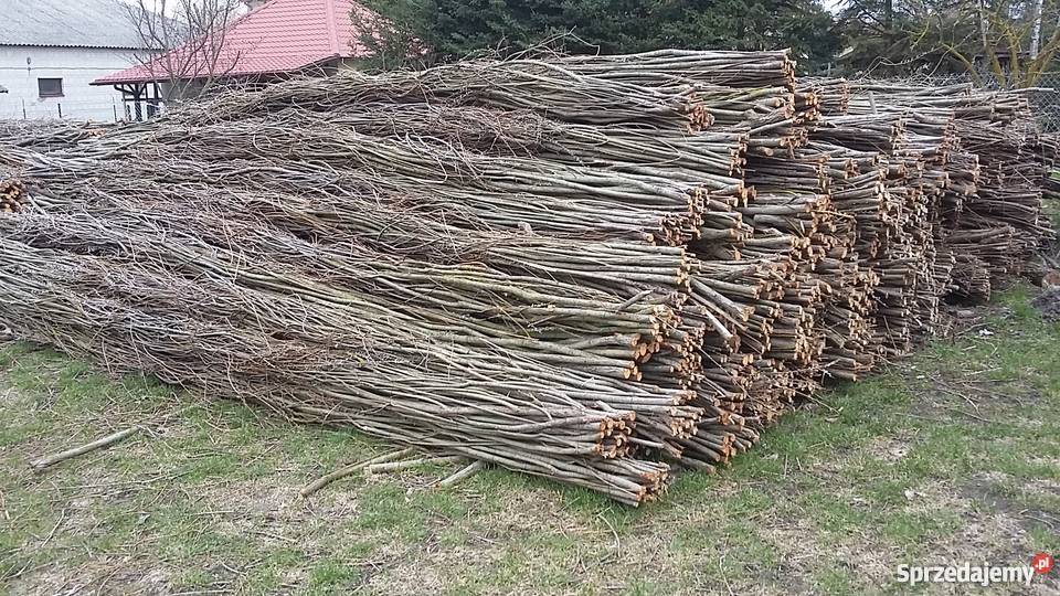 Faszyna Kiszka faszynowa paliki kołki z Drelów