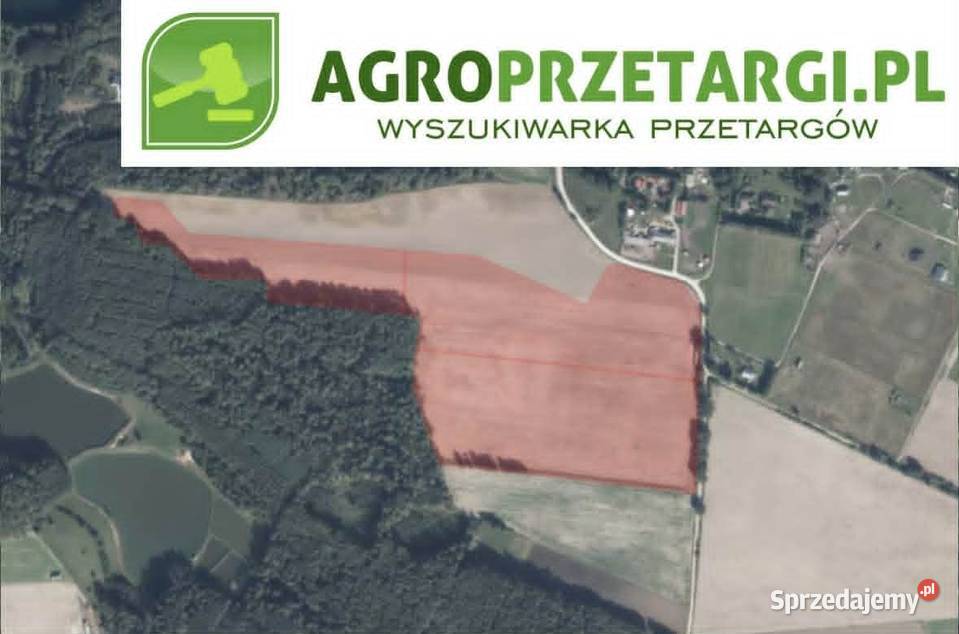 Dzierżawa 1162 ha gruntu rolnego wielkopolskie