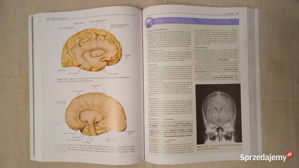 Clinical Neuroanatomy Richard Snell Warszawa