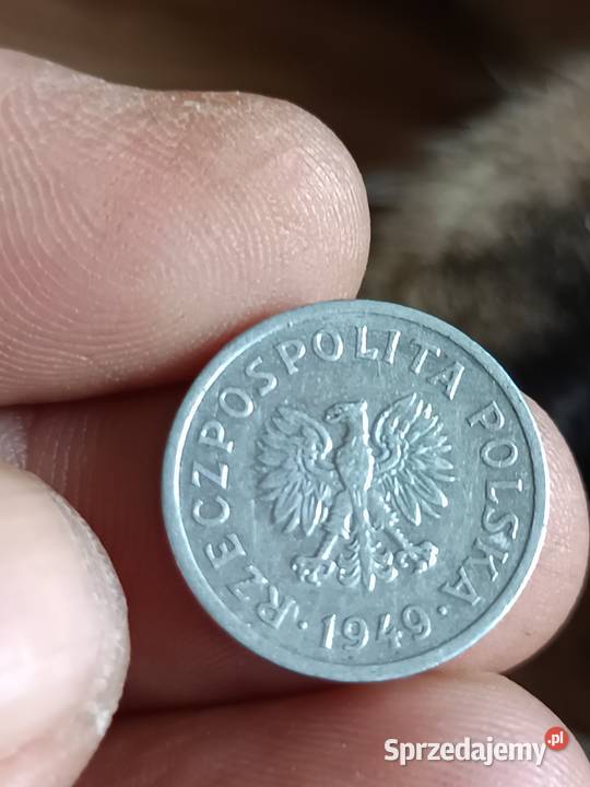 Sprzedam 10 groszy 1949 Chełm sprzedam
