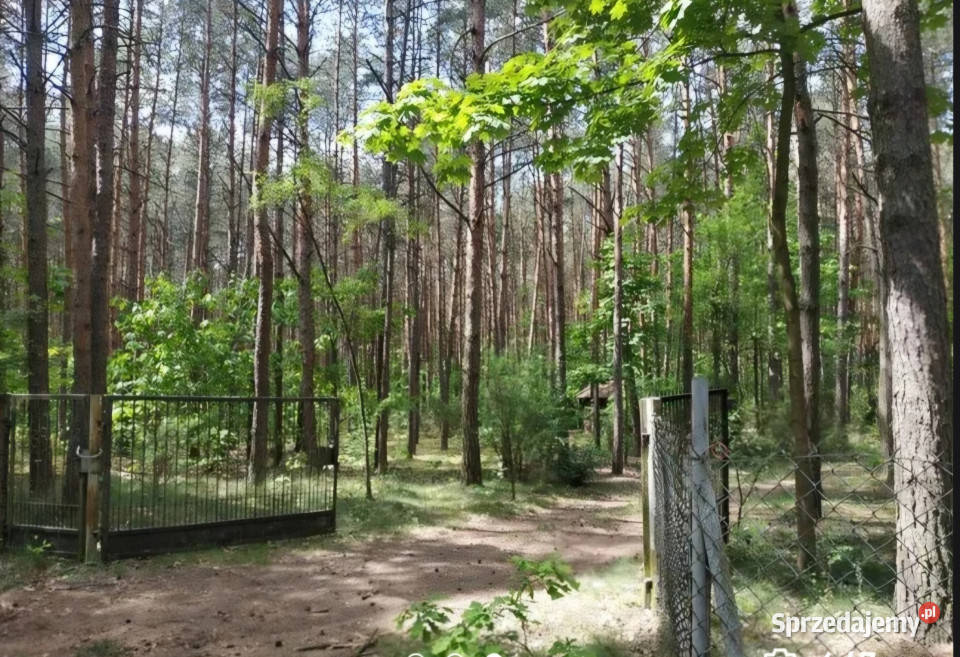 Leśna działka pod dom całoroczny MPZP woda i 0zł/m2 Drożdżówka