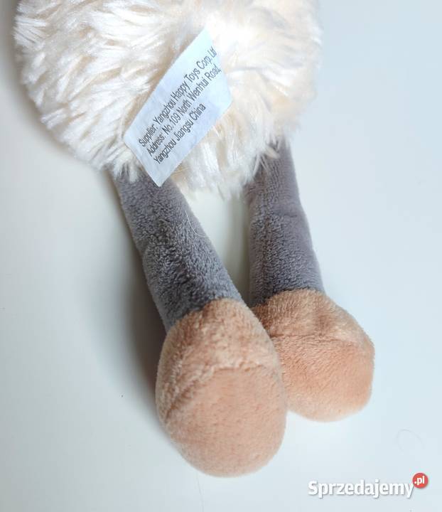 Owieczka SunDay Katowice