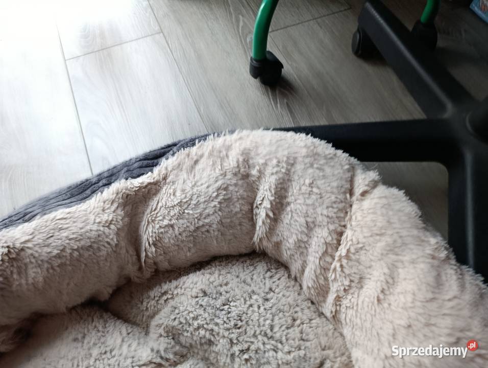 legowisko psa kota Poznań sprzedam