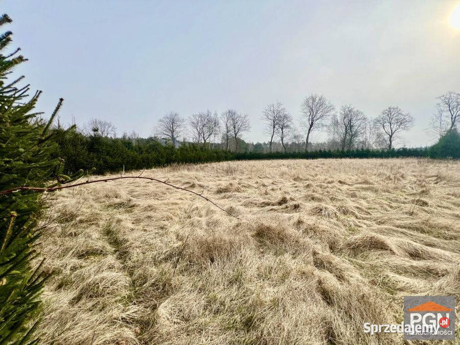 Działka Gostyniec 3007m2 budowlana