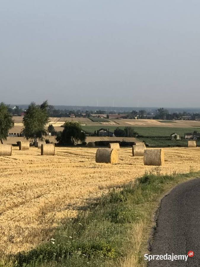 Sprzedam słomę jęczmienna 25 ha jarą zbior Łubno sprzedam