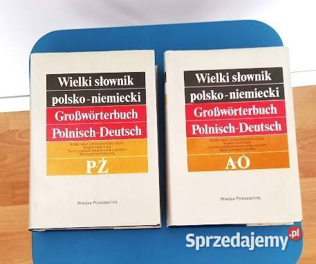 Wielki słownik niemieckopolski 2 tomy Poznań