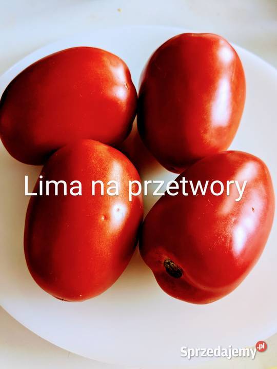 Cudo Ziemi Aly Mustang Pomidor nasiona pokarm
