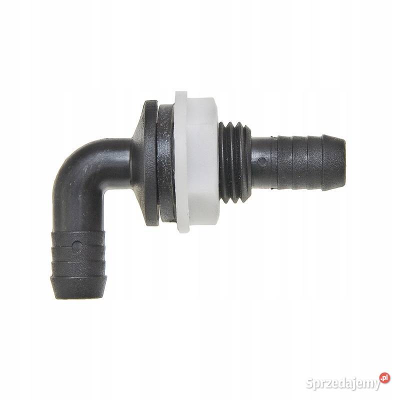 Kolanko pomorskie Kobylnica