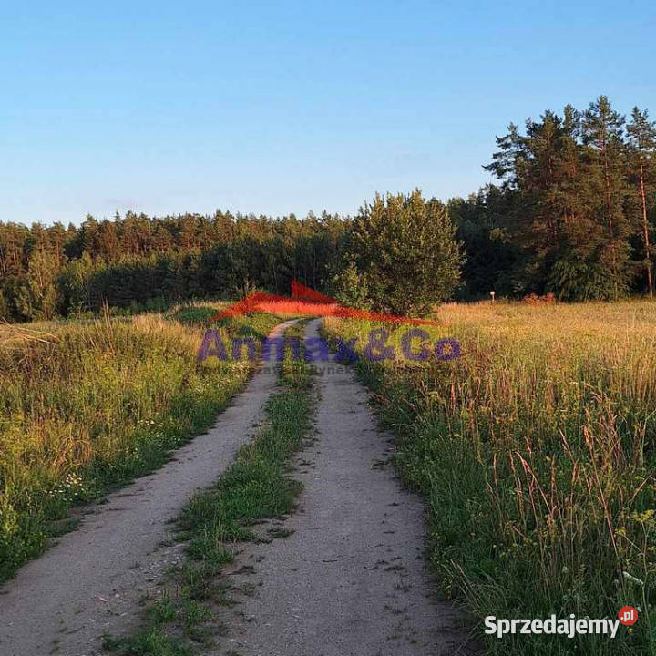 Ogłoszenie działka Strzelniki budowlana