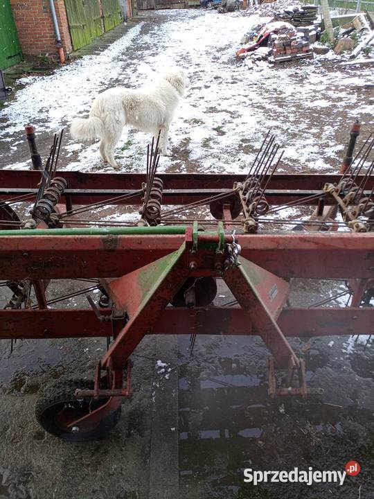 Przegrabiarka do siana Eksakt 3 Sipma Zgrabiarki i przetrząsacze Olesno