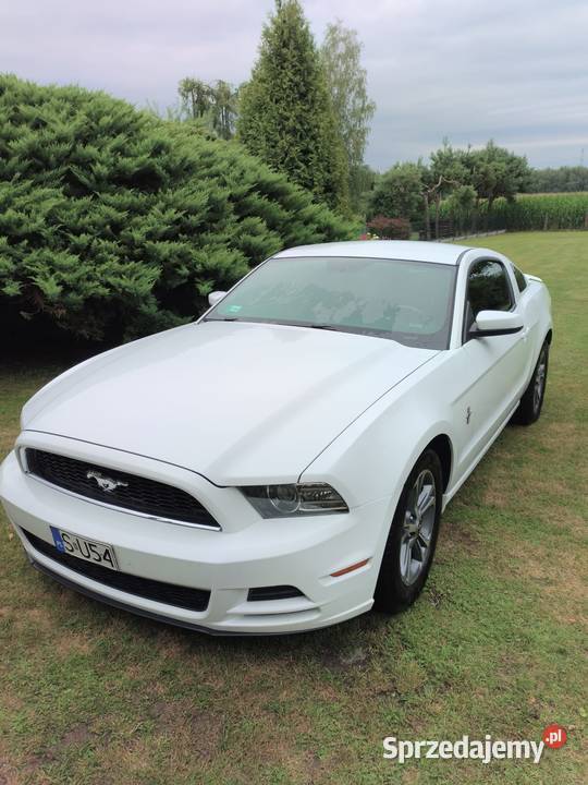 Ford Mustang 37 V6 305 Automat Rocznik 2014 benzyna