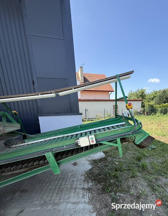 Duży sortownik ziemniaków sprzedam