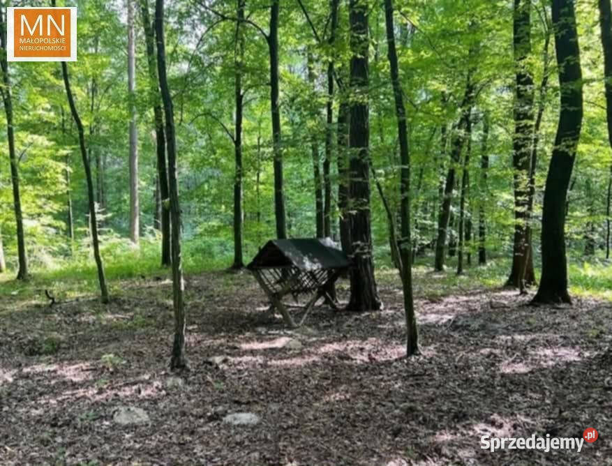 Ogłoszenie działka Marszowice 1016m2 274zł/m2 małopolskie