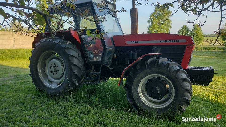 Ursus Zetor 1614 mazowieckie Łosice