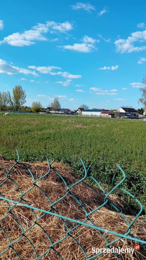 Sprzedam działkę lubuskie Trzebiechów sprzedam