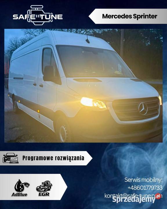 Programowe Wyłączanie Usuwanie SCRADBLUE EGR DPF Kielce