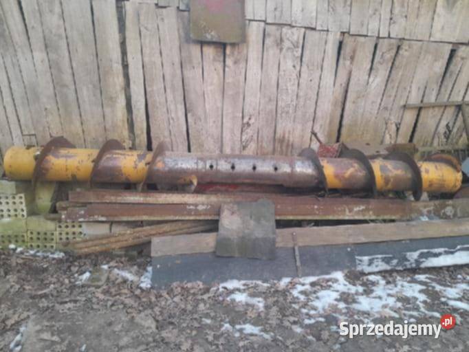 Ślimak Hedera Nowy Typ Do Bizon Super Dębówka