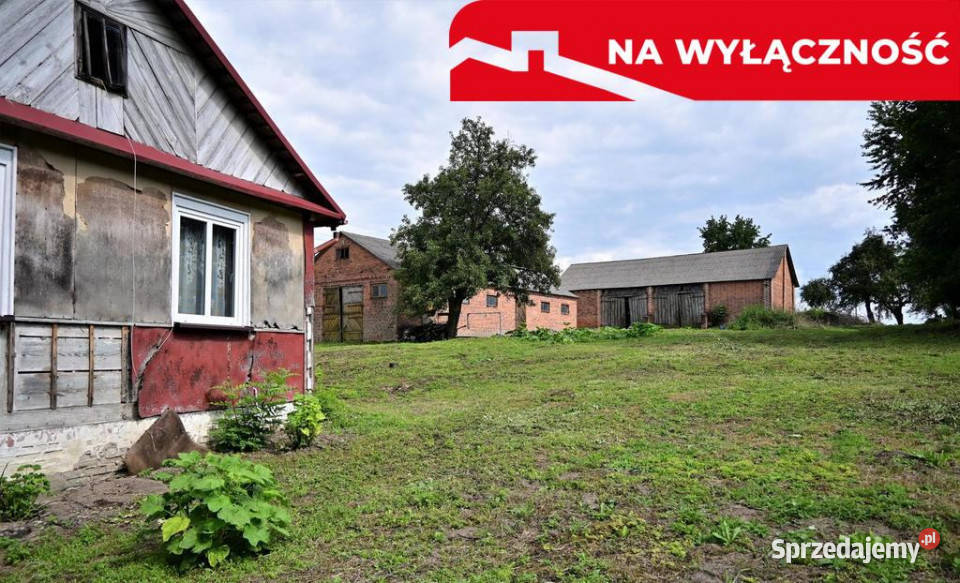 Radomirka dom i budynki gosp ponad 1ha gruntu Sprzedaż