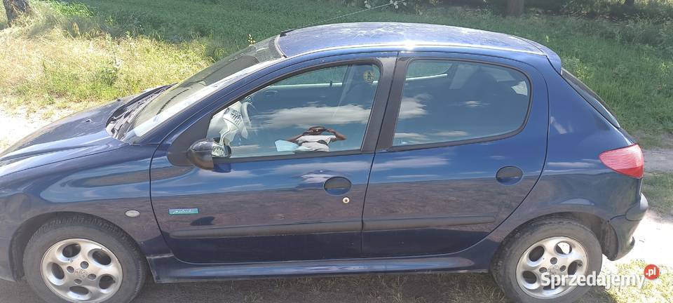 Sprzedam peugeot 206 wielkopolskie Celestynowo