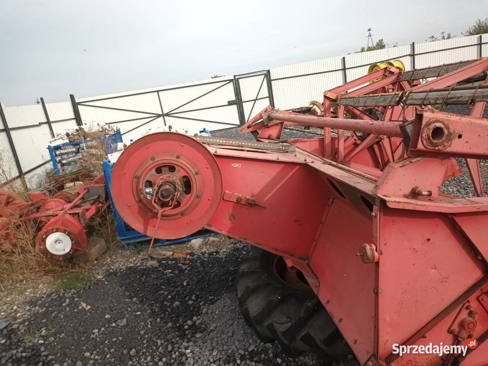 Heder do kombajnu Massey Ferguson 8687186187 Massey Ferguson Bukowie