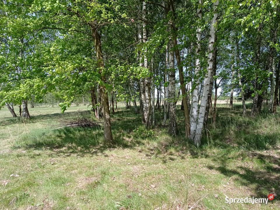 Sprzedam działkę budowlaną 3800 m2 Wola