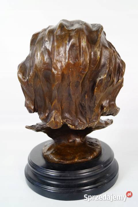 ALBERT EINSTEIN Popiersie Figura z Brązu Gizałki
