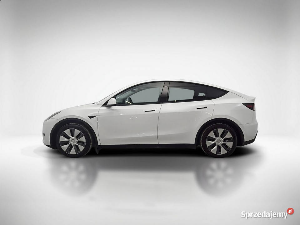 Tesla Y Long Range RWD Z Polskiego Salonu Zarejestrowany w Polsce