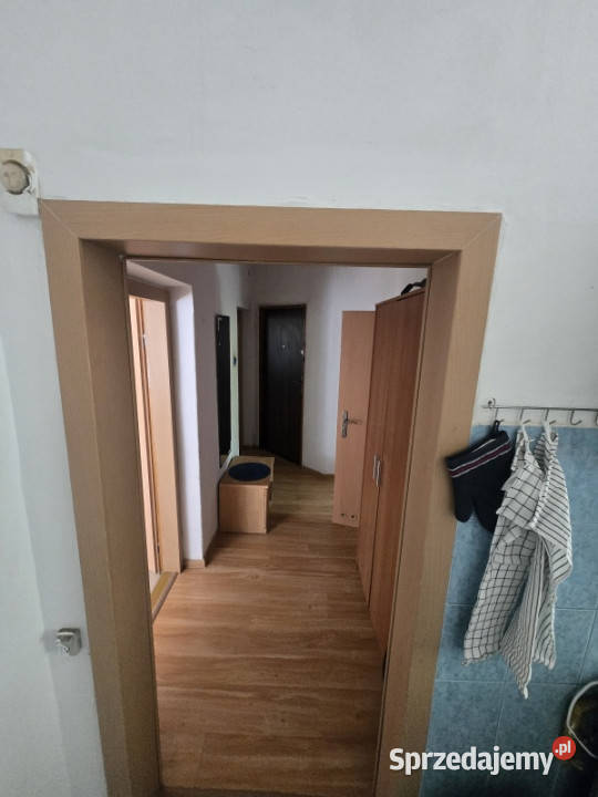 Wynajem mieszkania parter parter Wynajem śląskie Katowice