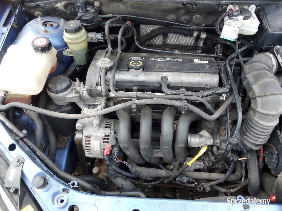 Ford Focus 14 benzyna lubuskie Gorzów Wielkopolski sprzedam