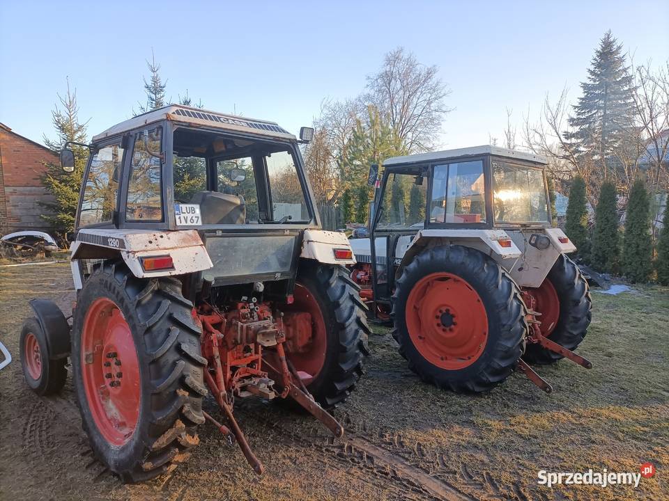 David brawn 1290 case Krzczonów Trzeci