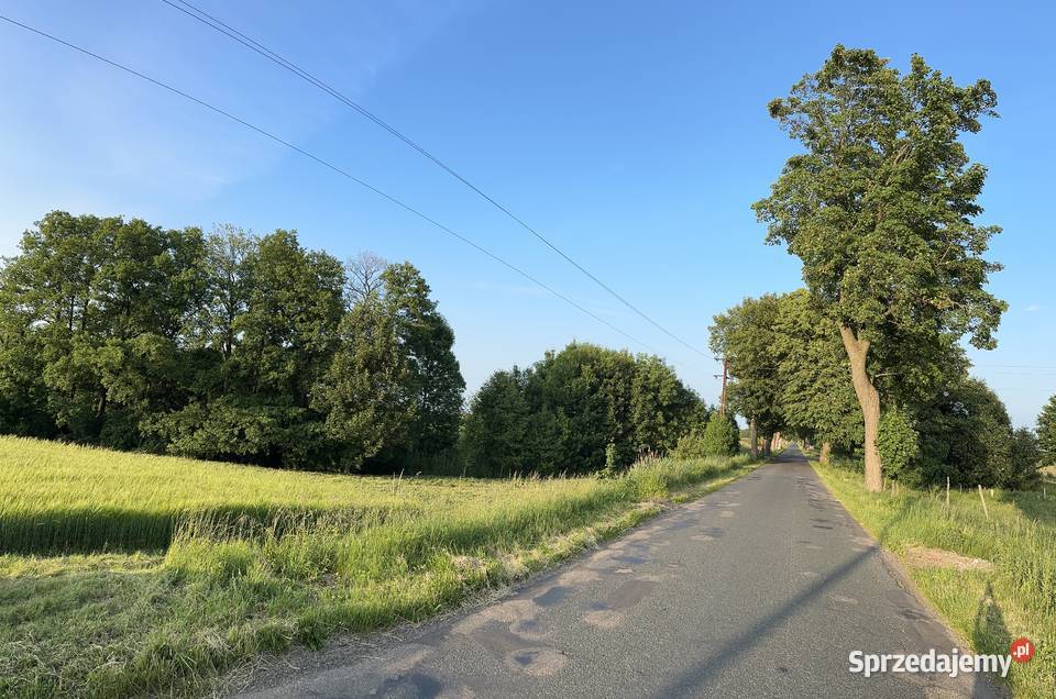 Działka z linią brzegową