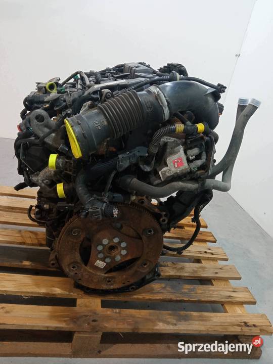SILNIK KOMPLETNY DIESEL AH01 20 BLUE HDI Peugeot świętokrzyskie