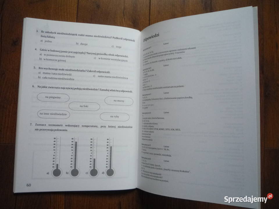 Rozumiem co czytam Karty pracy Klasa 1 2 i 3 Podręczniki Szczecin