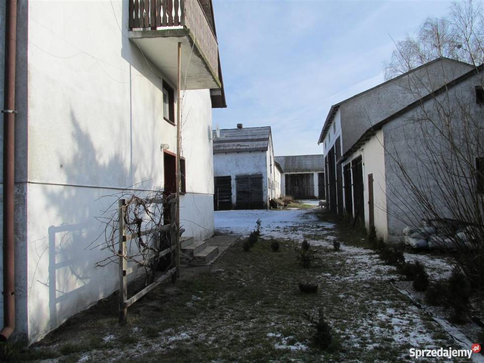 Sprzedam gospodarstwo rolne z zabudowaniami Dobra