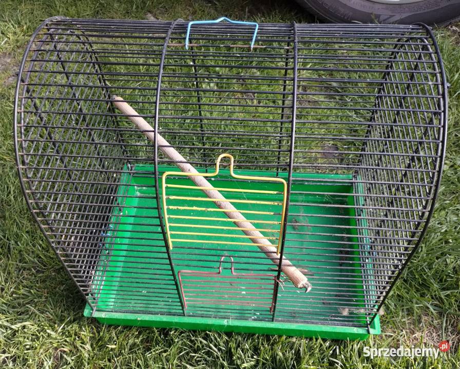 Klatka ptaków papugi kanarki zeberki Olimpów