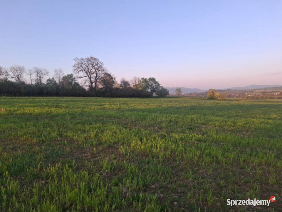 Piękne działki 30 arów w gorach Gorzanów