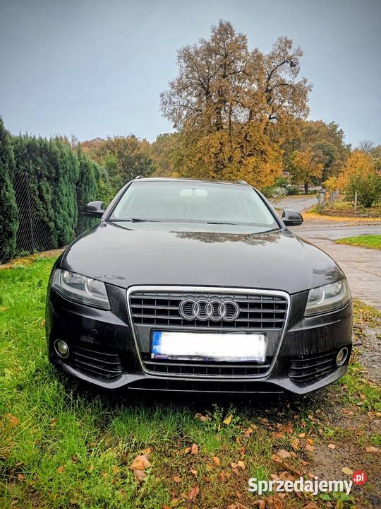 Audi a4 b8 Łobez sprzedam