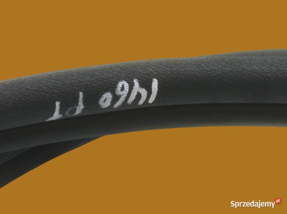 USZCZELKA DRZWI PRAWY TYŁ KAROSERYJNA Renault sprzedam