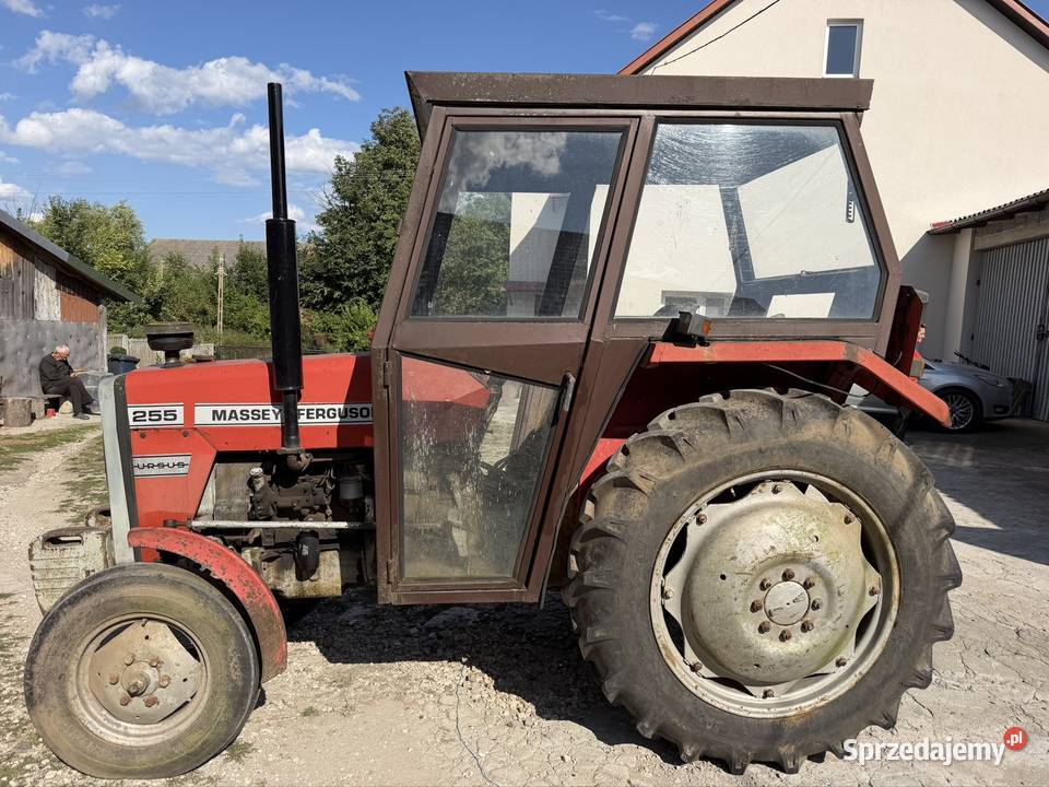Massey Ferguson 255 Rolnictwo świętokrzyskie Wiślica