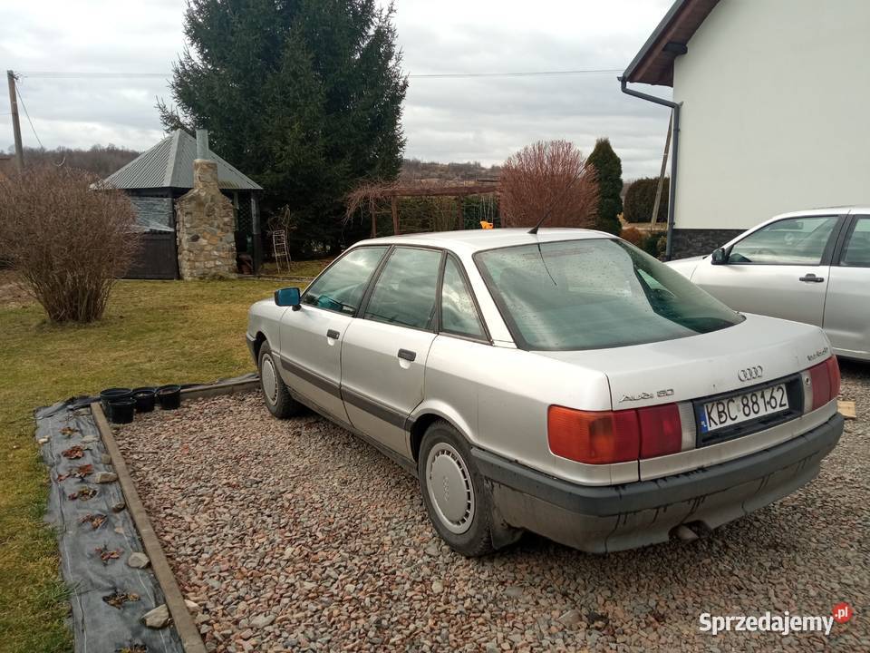 Audi Trzciana