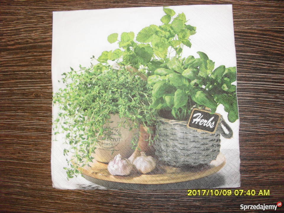 Zestaw serwetek do decoupage z ziołami Bochnia